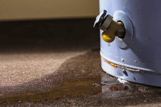 Best Water damage cleanup near me  in Kiryas Joel, NY