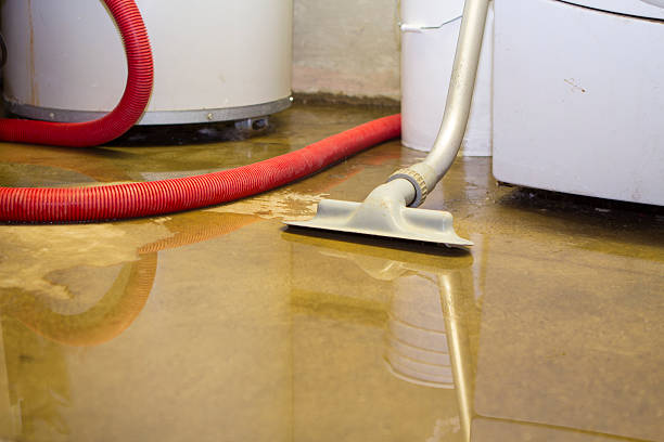 Water damage restoration mold remediation in Kiryas Joel, NY