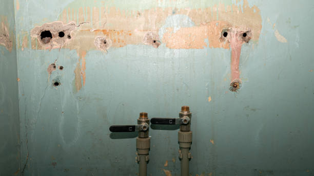 Kiryas Joel, NY Water damage restoration Company